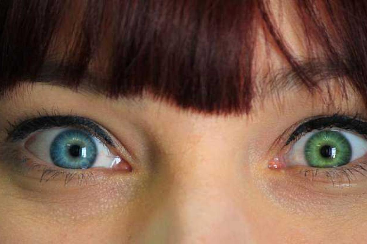 Ученые выяснили, что человек по-разному воспринимает цвета зимой и летом