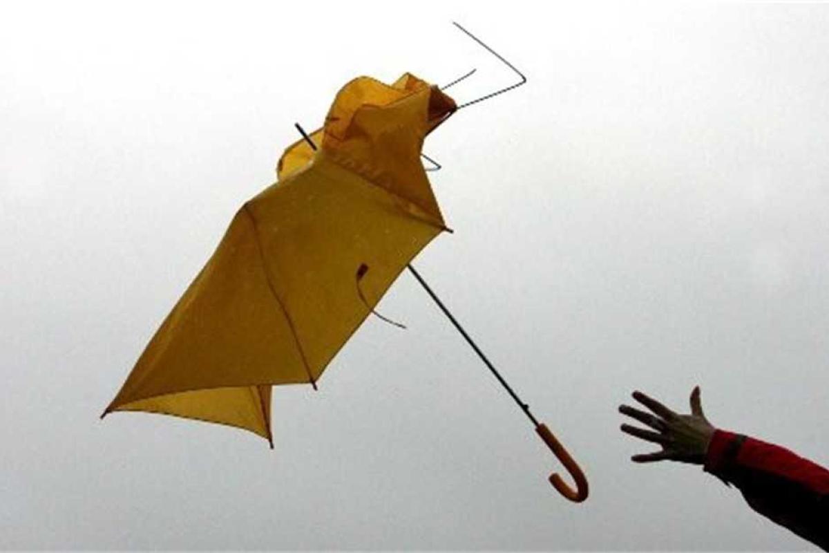 Из-за сильной жары в Украине объявили штормовое предупреждение Из-за сильной жары в Украине объявили штормовое предупреждение