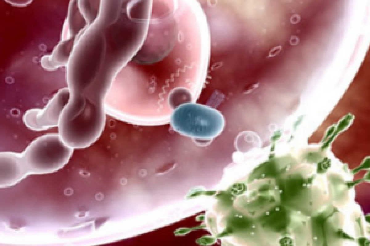 Ученые доказали, что мутации делают ВИЧ слабее, но не безопасным Ученые доказали, что мутации делают ВИЧ слабее, но не безопасным