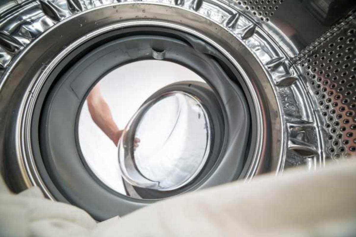 Французу дали 30 лет за убийство сына в стиральной машинке