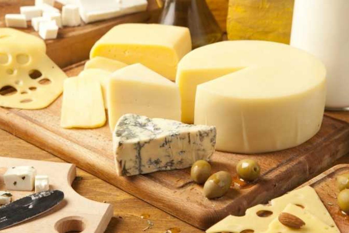 ЕС раздаст беженцам излишки "санкционной" в России молочки ЕС раздаст беженцам излишки "санкционной" в России молочки