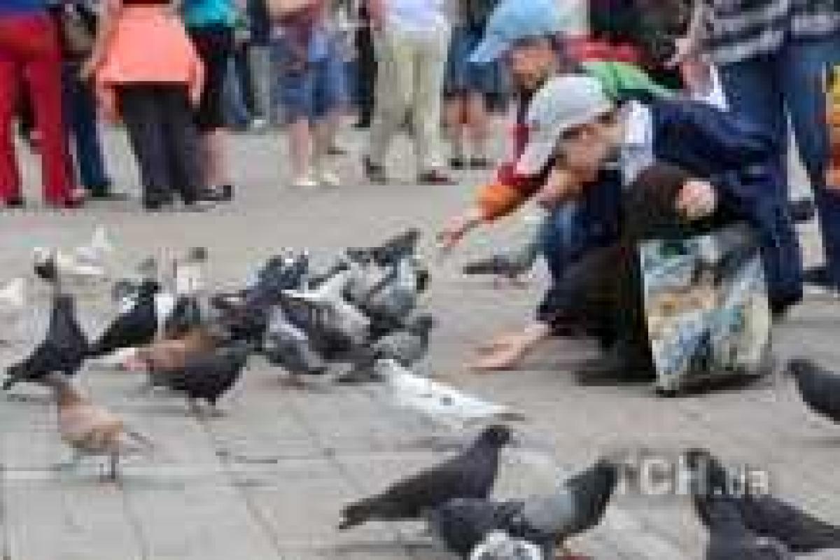 В России дети совершили побег из детсада В России дети совершили побег из детсада