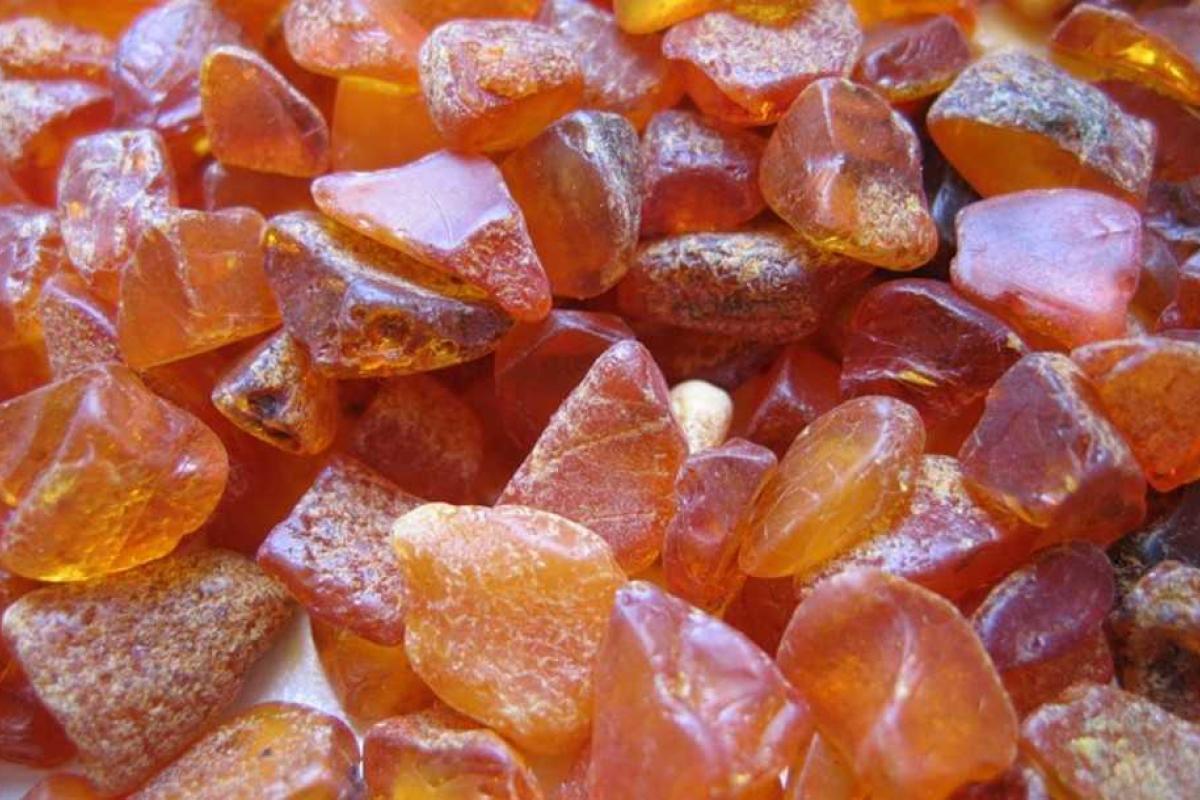 Янтарные войны продолжаются: задержано 80 копателей, перекрывших трассу на Варшаву Янтарные войны продолжаются: задержано 80 копателей, перекрывших трассу на Варшаву