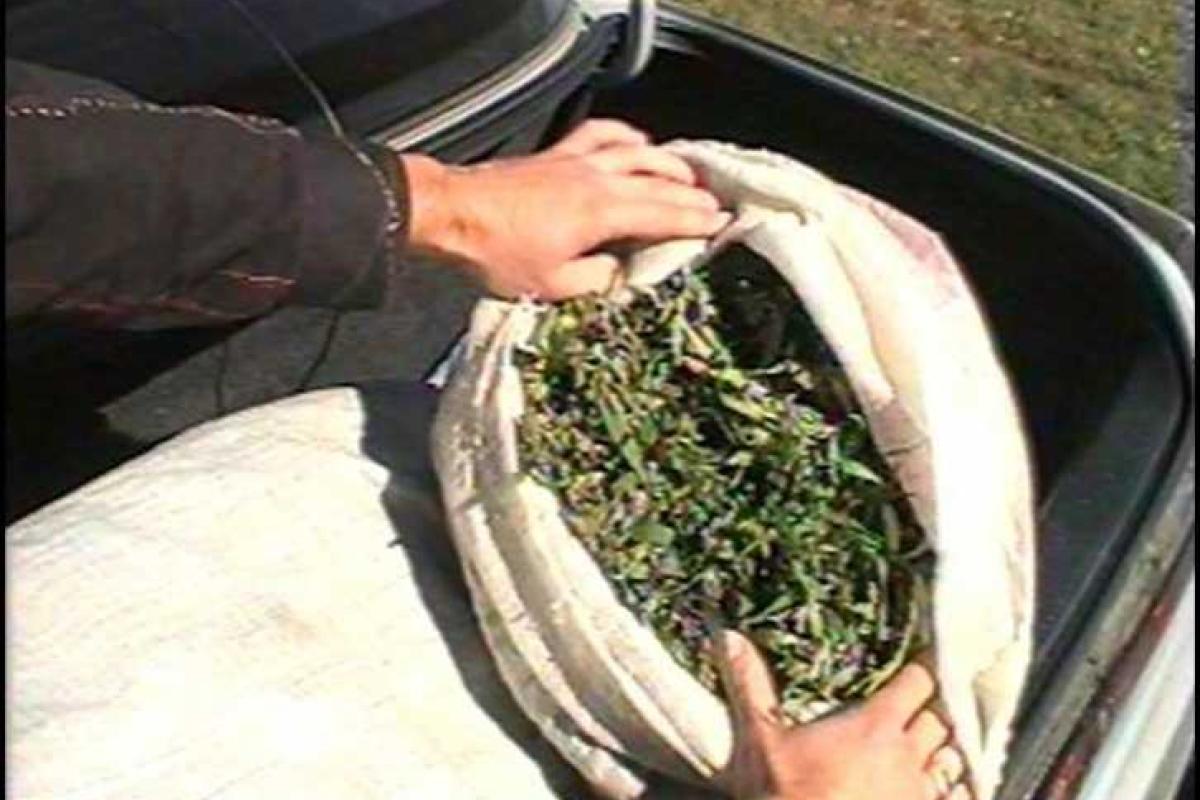 На блокпосту в Сватово задержан автомобиль «Hyundai Tucson» с марихуаной На блокпосту в Сватово задержан автомобиль «Hyundai Tucson» с марихуаной