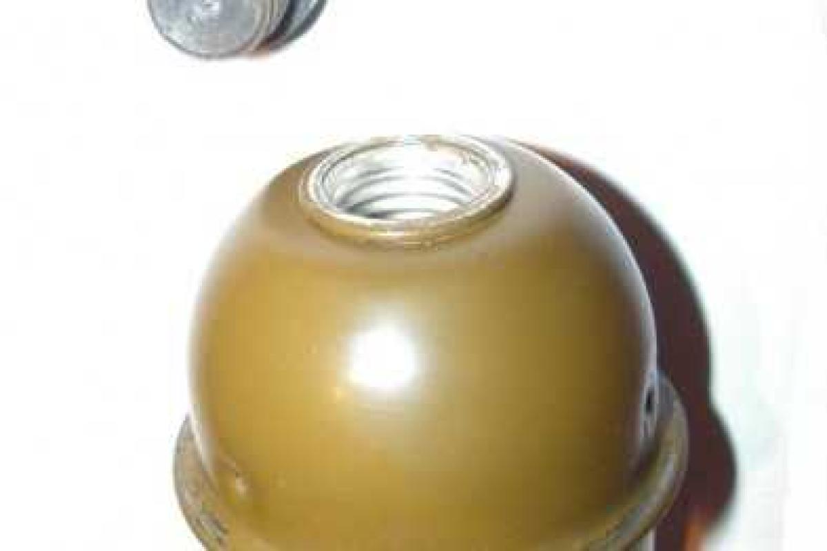 МЧС: В общественном туалете автовокзала Мариуполя обнаружена граната