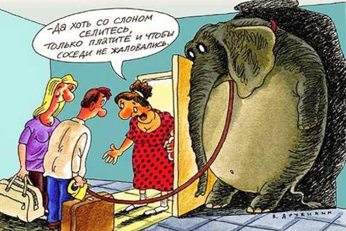 Советы частного нотариуса - как сдать квартиру без последствий Советы частного нотариуса - как сдать квартиру без последствий