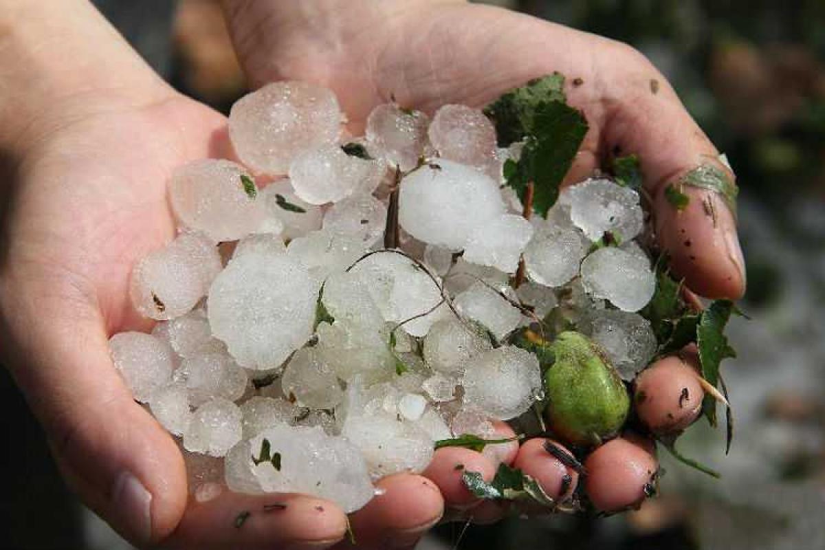 В Грузии градом уничтожило кровлю 80 домов