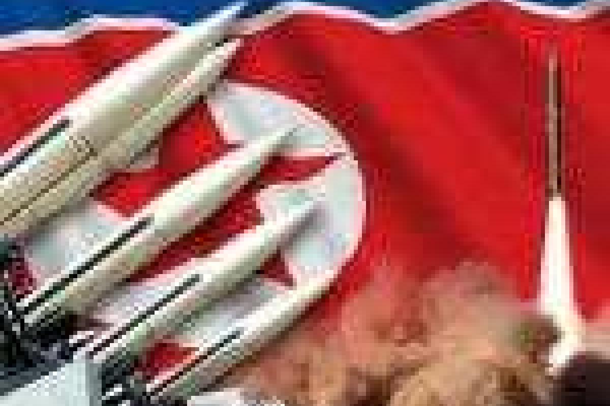 Северная Корея возобновила работу крупнейшего атомного комплекса Северная Корея возобновила работу крупнейшего атомного комплекса