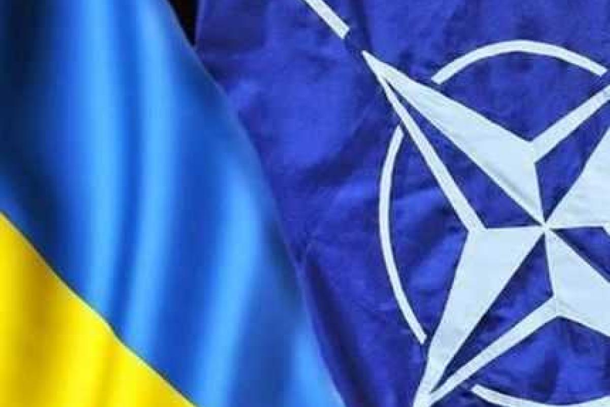 Украина присоединится к структурам закупок НАТО Украина присоединится к структурам закупок НАТО