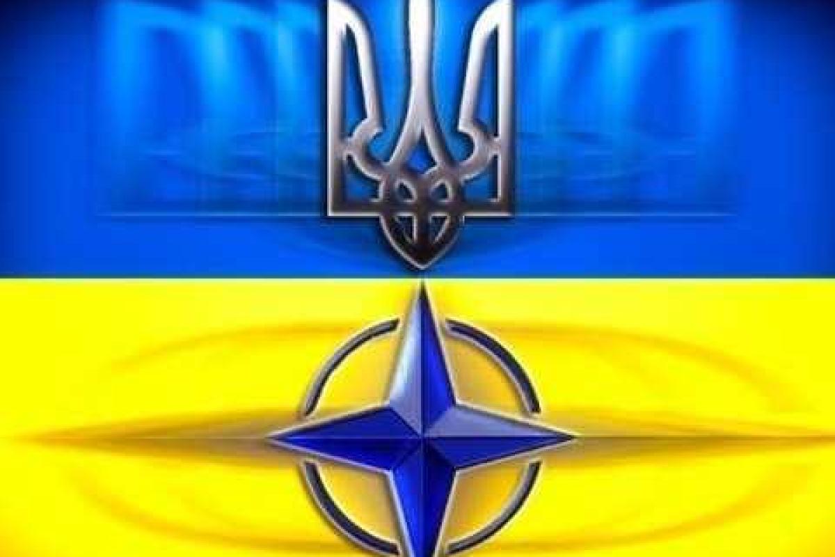 МИД: Украина и НАТО подписали имплементационные соглашения МИД: Украина и НАТО подписали имплементационные соглашения