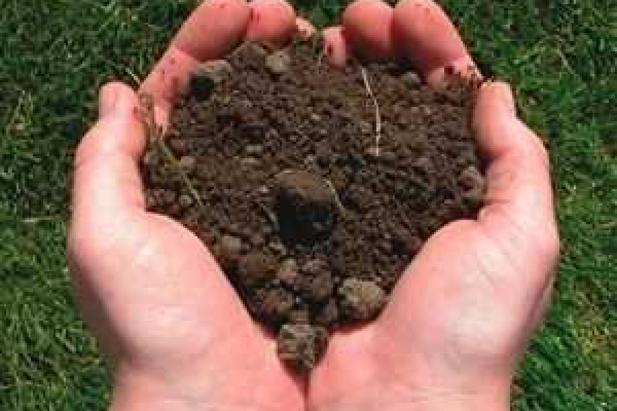 Земельная реформа позволит украинцам покупать земли на онлайн-аукционах, - госслужба Земельная реформа позволит украинцам покупать земли на онлайн-аукционах, - госслужба