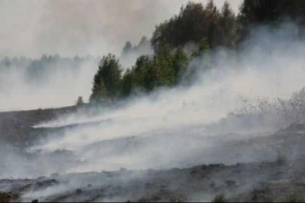 ГСЧС: В Киевской области продолжается тушение более 100 тлеющих торфяников ГСЧС: В Киевской области продолжается тушение более 100 тлеющих торфяников