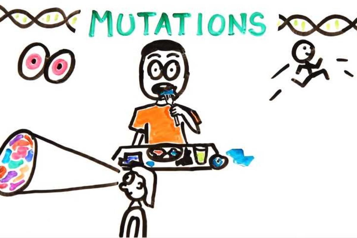 Эксперты показали какими станут люди через 1000 лет. Видео Эксперты показали какими станут люди через 1000 лет. Видео