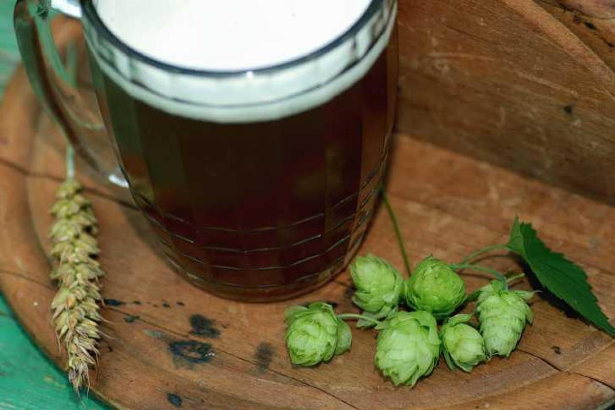 Эксперты утверждают, что пиво поможет достичь новых высот в постели Эксперты утверждают, что пиво поможет достичь новых высот в постели