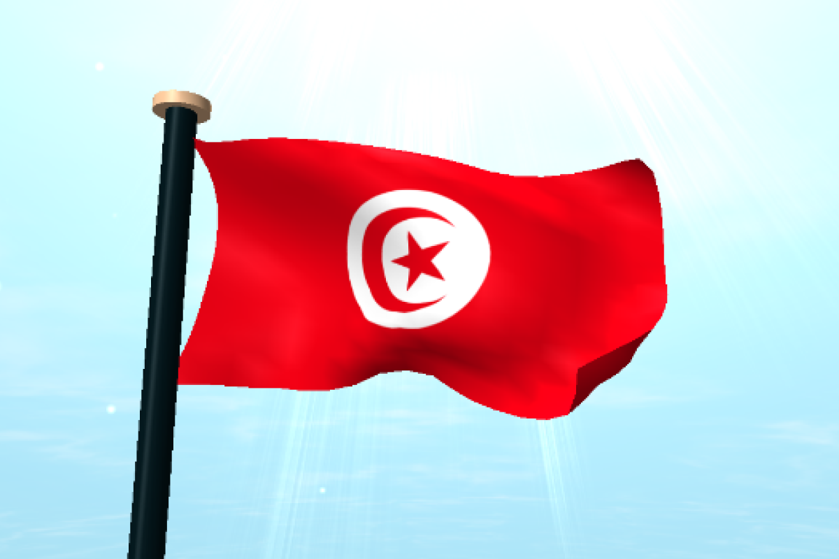 В Тунисе ожидается рост безработицы: массово закрываются отели В Тунисе ожидается рост безработицы: массово закрываются отели