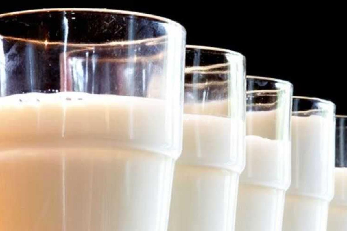 Первые пять украинских молочных компаний могут выйти на рынок ЕС Первые пять украинских молочных компаний могут выйти на рынок ЕС