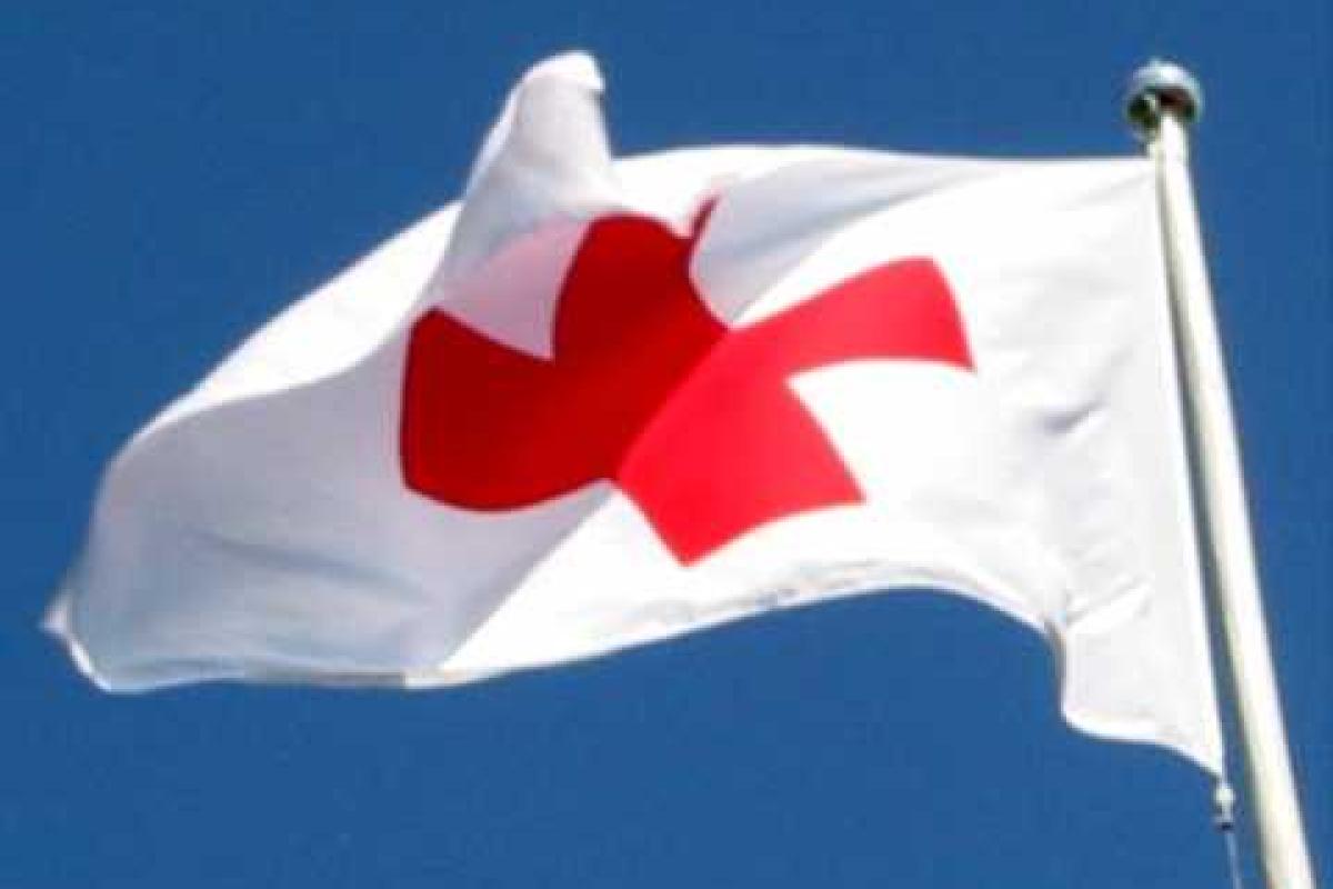 Донбасс получил гуманитарную помощь от Красного Креста Донбасс получил гуманитарную помощь от Красного Креста