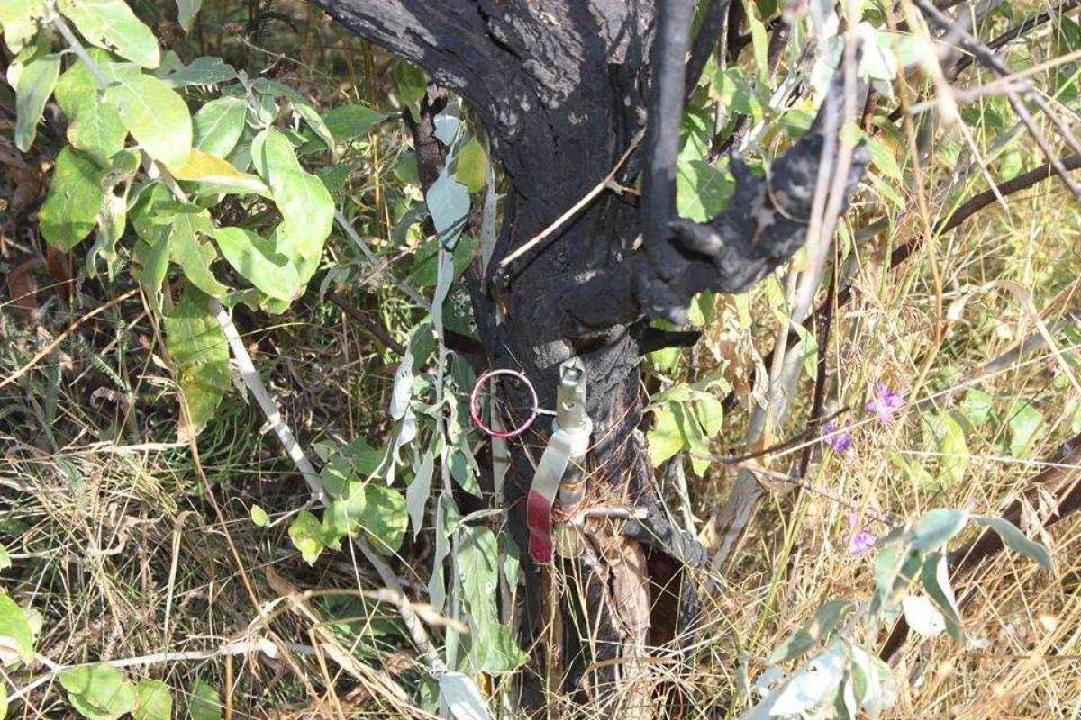 В Первомайске на растяжке подорвался командир контрразведки банды "Призрак" В Первомайске на растяжке подорвался командир контрразведки банды "Призрак"