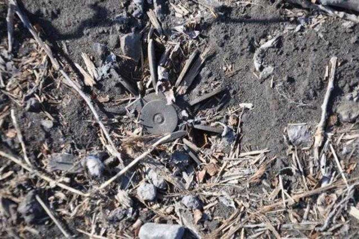 В сети появились фото того, что осталось от населенного пункта Никишино