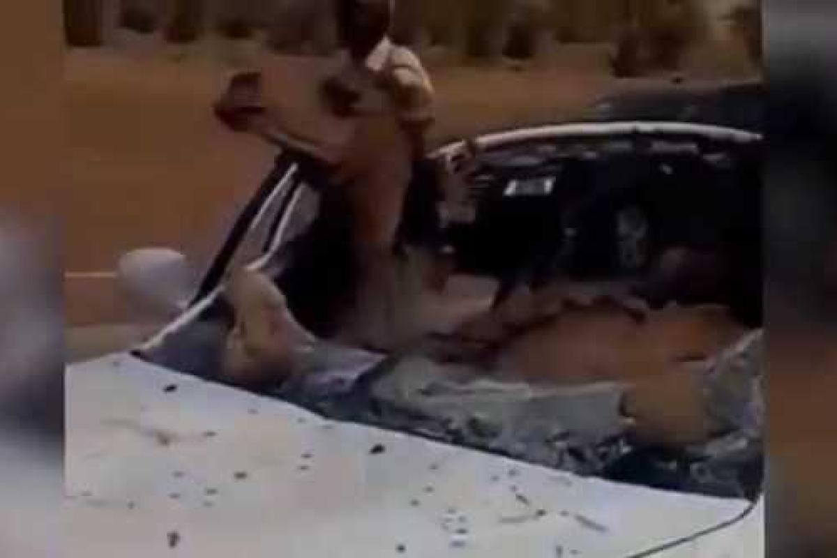В Саудовской Аравии автомобиль влетел в верблюда В Саудовской Аравии автомобиль влетел в верблюда