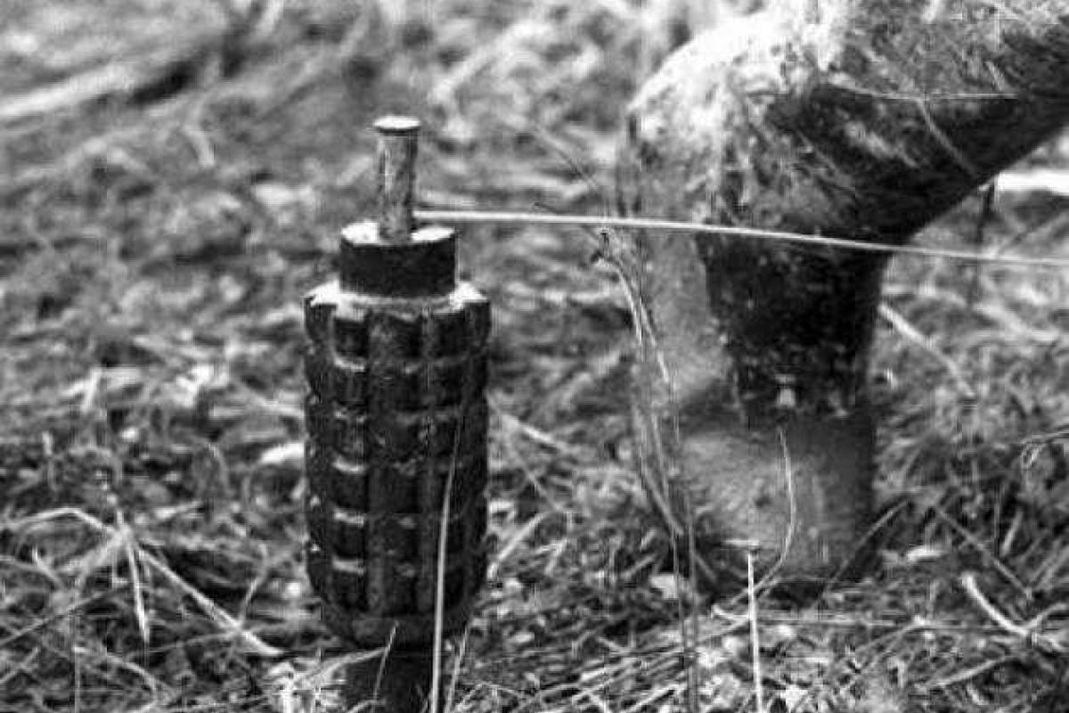 На Луганщине на растяжке подорвалась местная жительница На Луганщине на растяжке подорвалась местная жительница