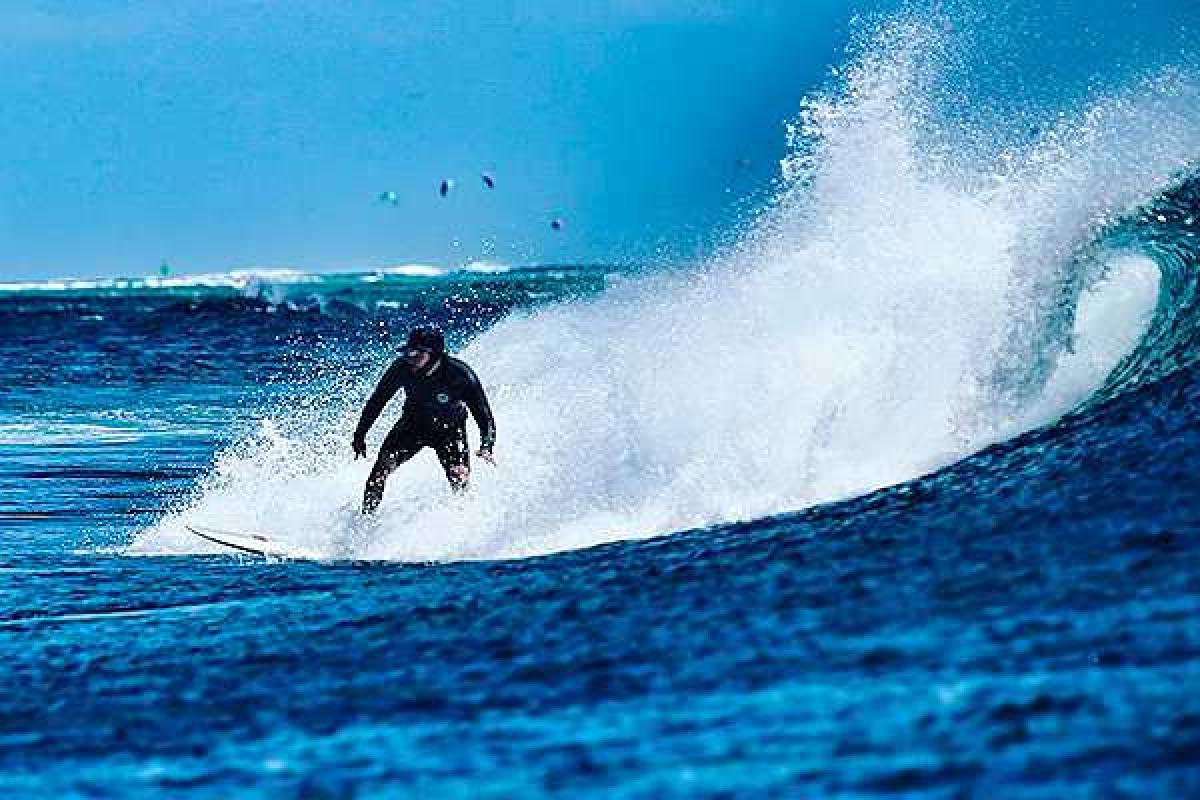 Тимати на морском курорте атаковала хищная рыба