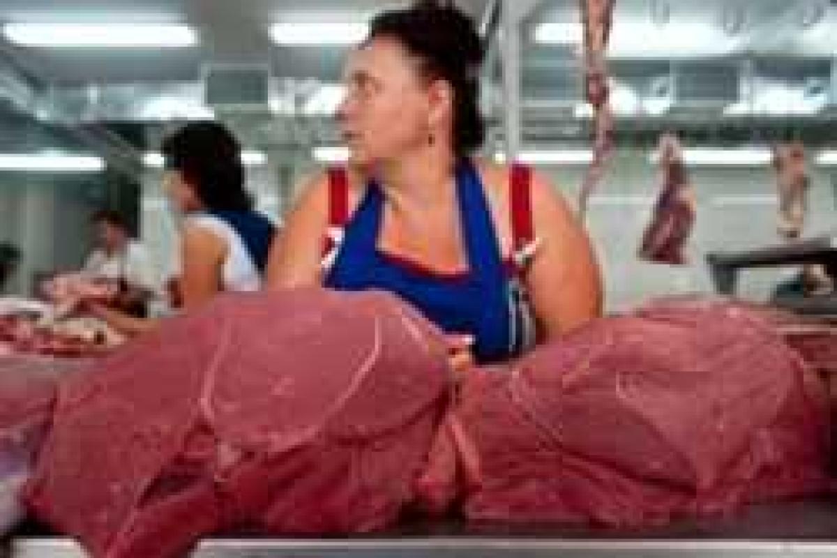 Как Украина ответит на продуктовое эмбарго России, - эксперты Как Украина ответит на продуктовое эмбарго России, - эксперты