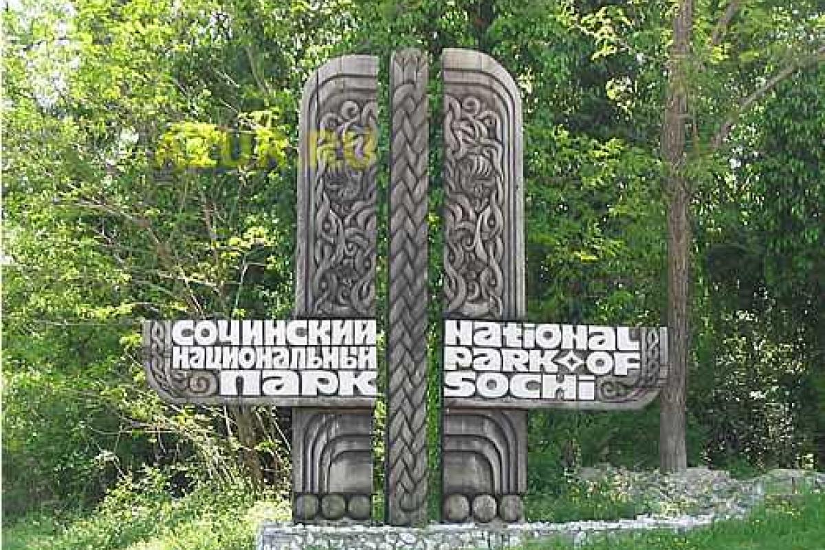 Экологи бьют тревогу: Сочинский национальный парк хотят уничтожить Экологи бьют тревогу: Сочинский национальный парк хотят уничтожить