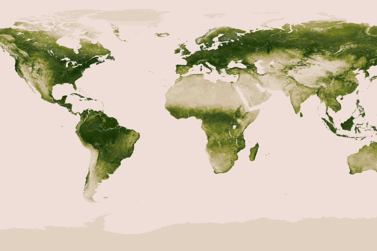 Годовой цикл растительности на Земле. Инфографика Годовой цикл растительности на Земле. Инфографика