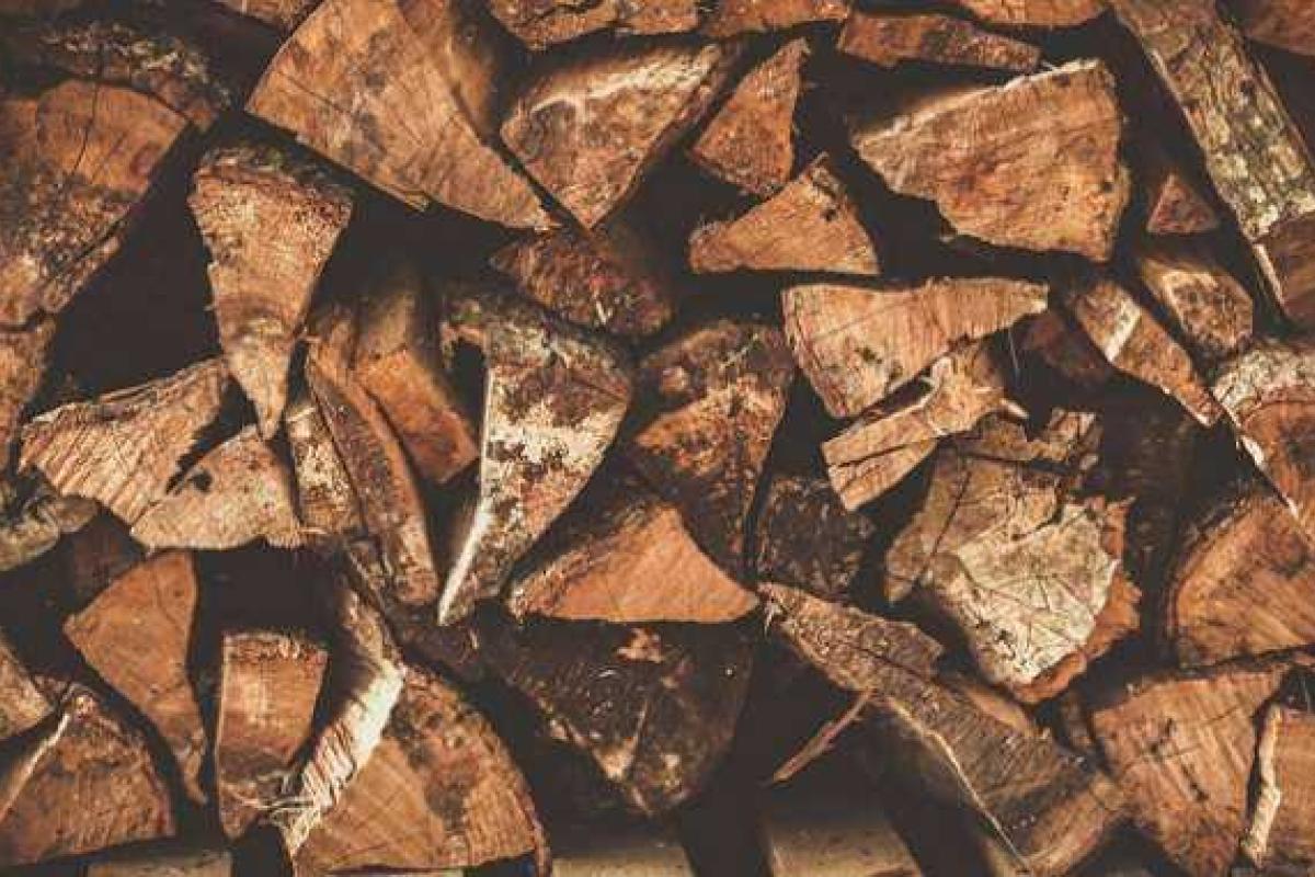 На оккупированном полуострове Крым дрова стали дефицитным товаром