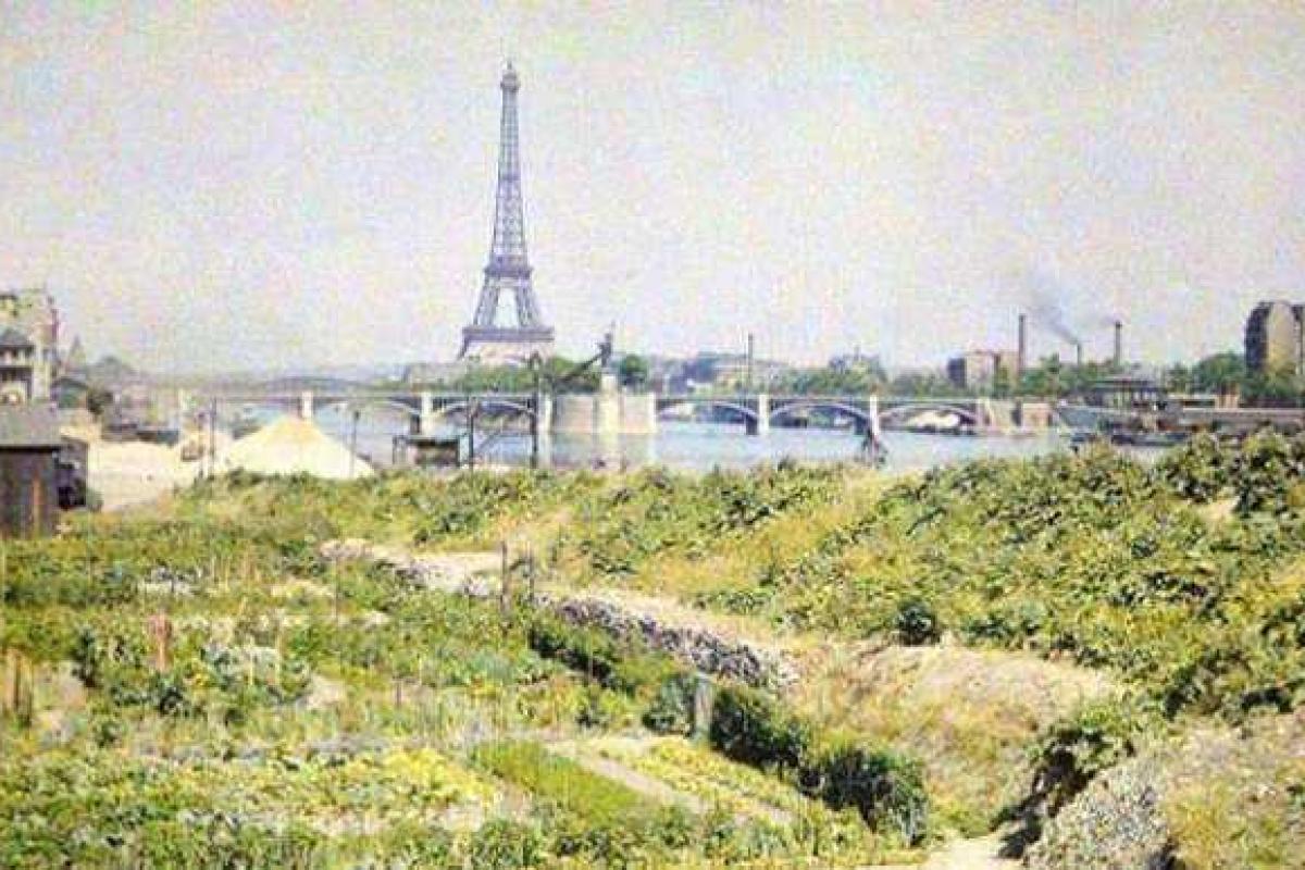 В сети появились уникальные фотографии французской столицы 100-летней давности