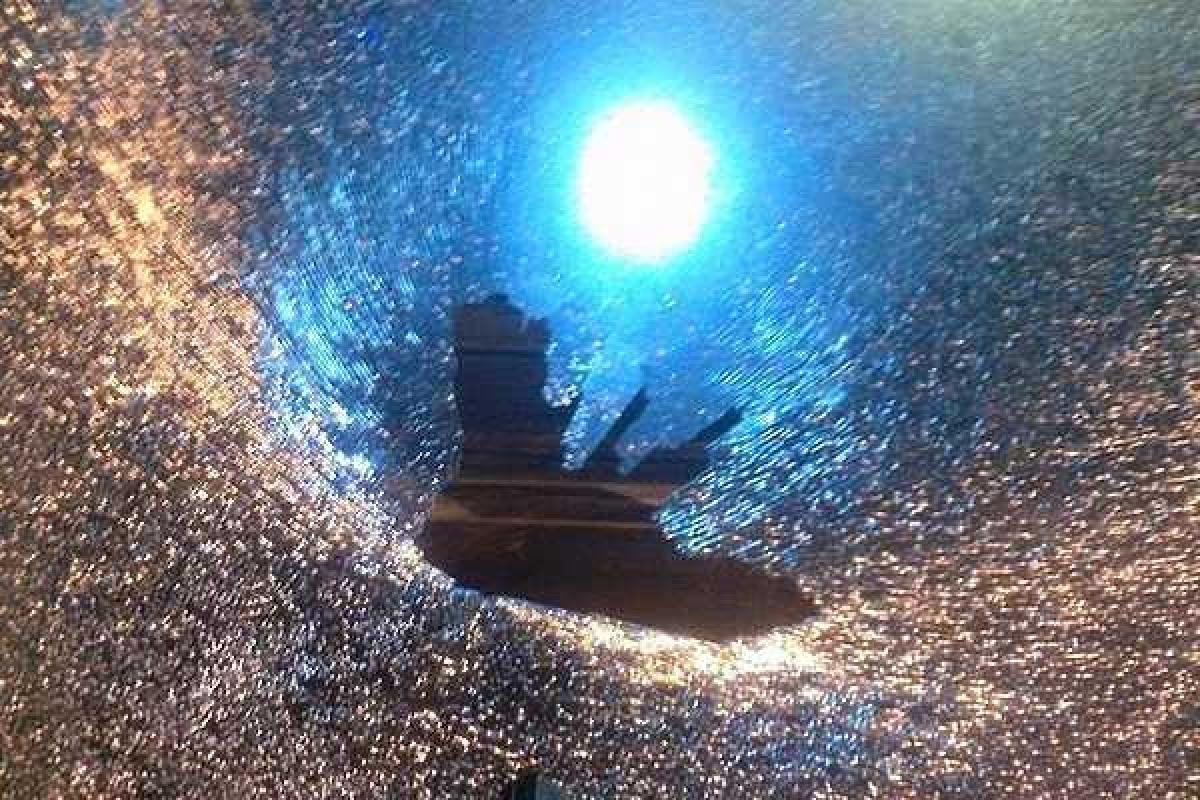 Во Львове неизвестные четыре раза выстрелили в маршрутку с людьми