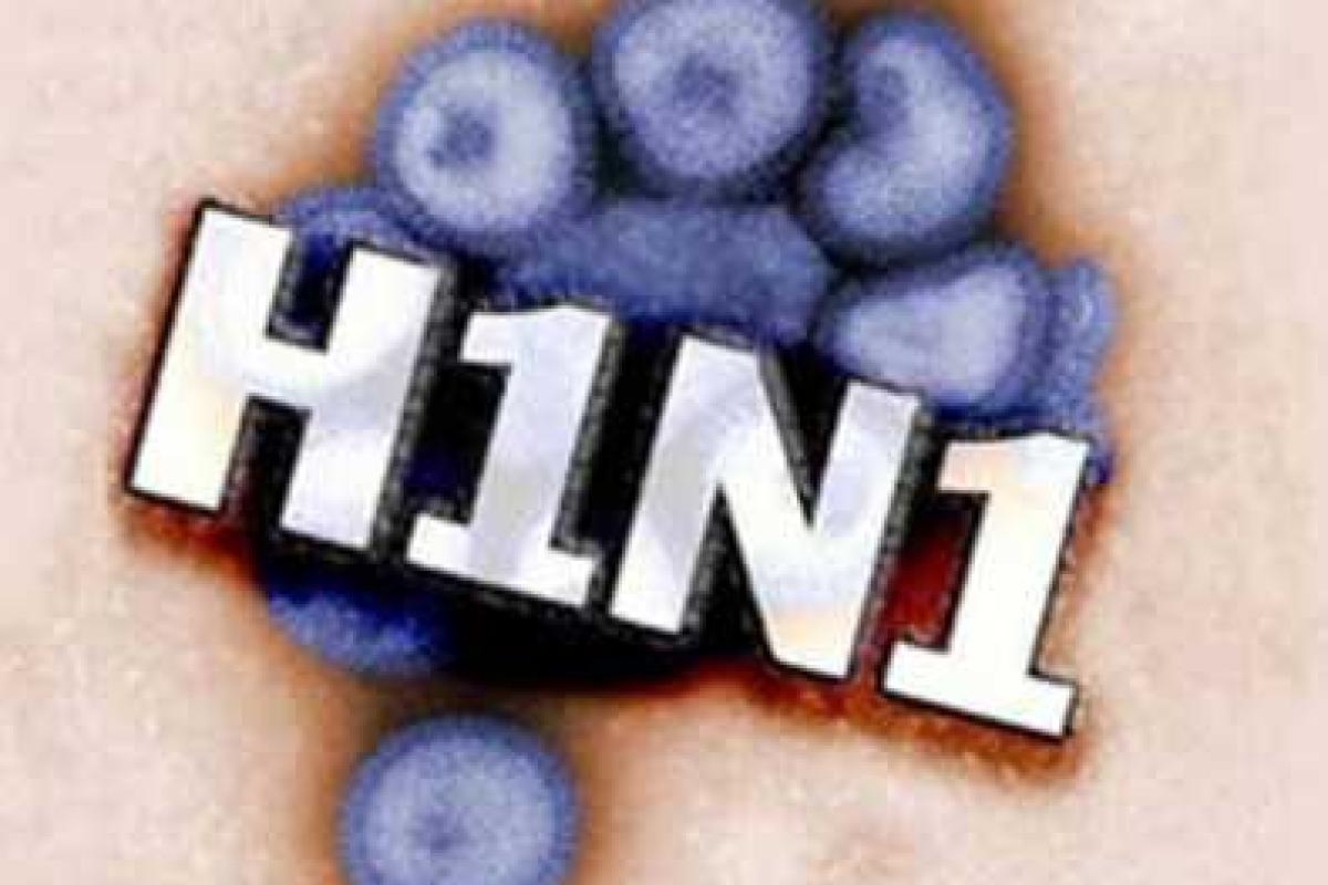 У каждого второго жителя Москвы с ОРВИ выявлен вирус H1N1 У каждого второго жителя Москвы с ОРВИ выявлен вирус H1N1