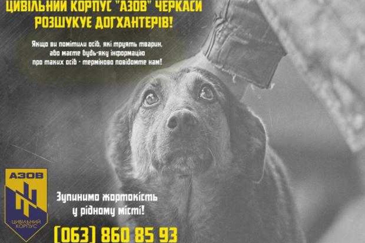 Ветераны «Азова» создали батальон по защите бездомных животных Ветераны «Азова» создали батальон по защите бездомных животных
