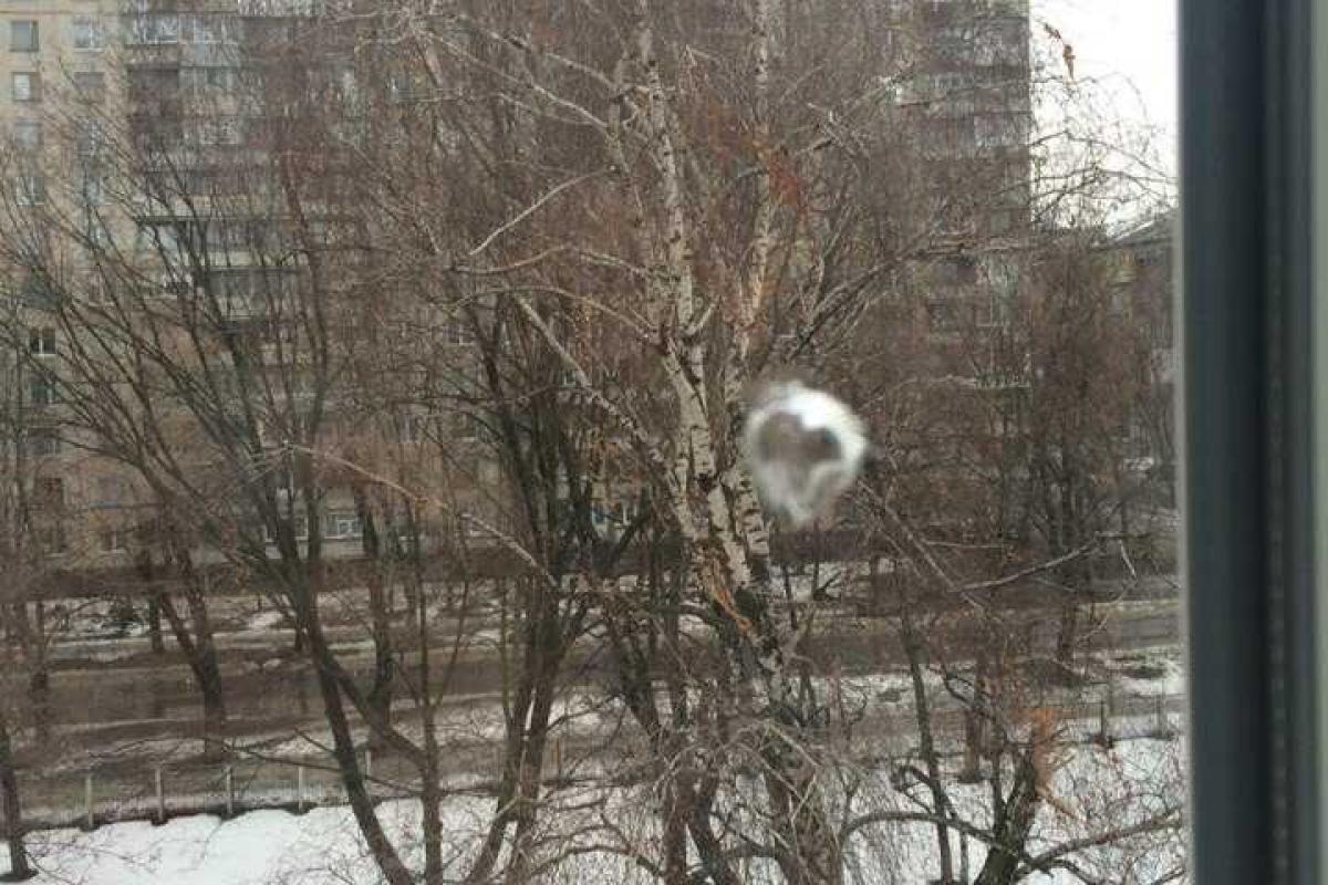 В Харькове неизвестные обстреляли школу В Харькове неизвестные обстреляли школу