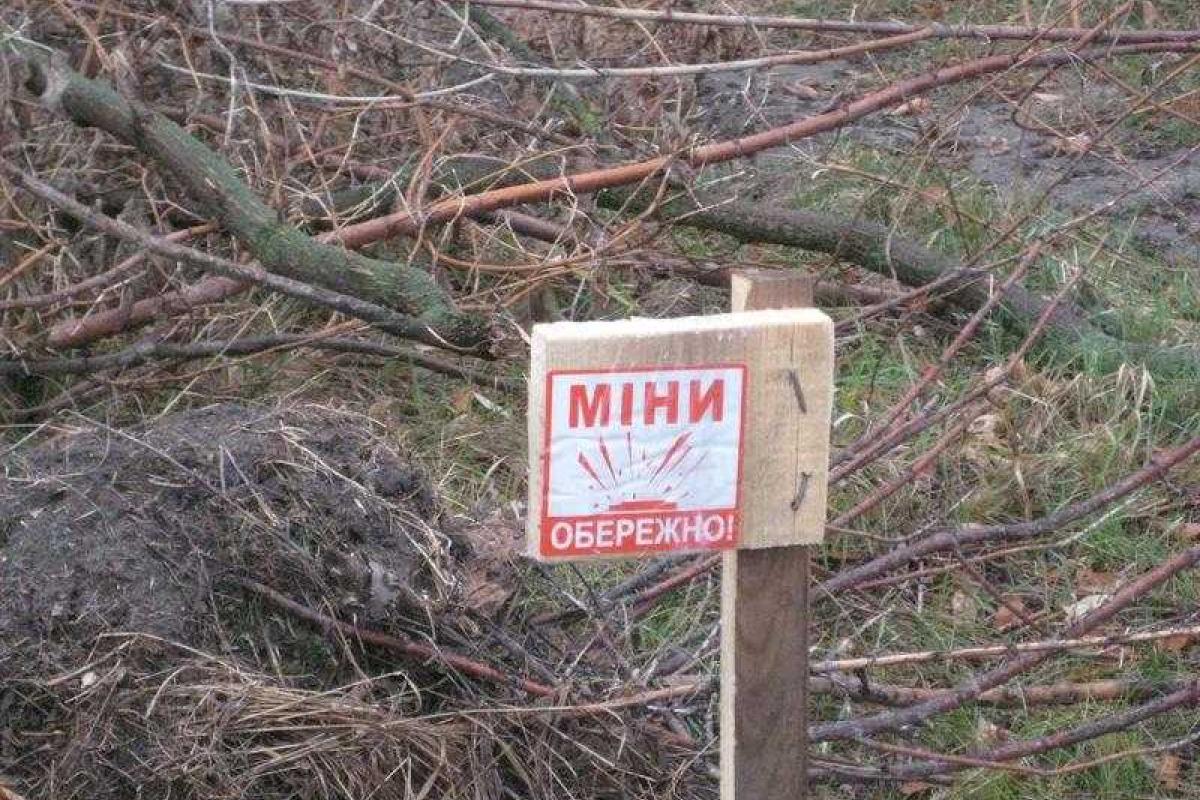 На Луганщине найдены мины запрещенные Женевской конвенцией