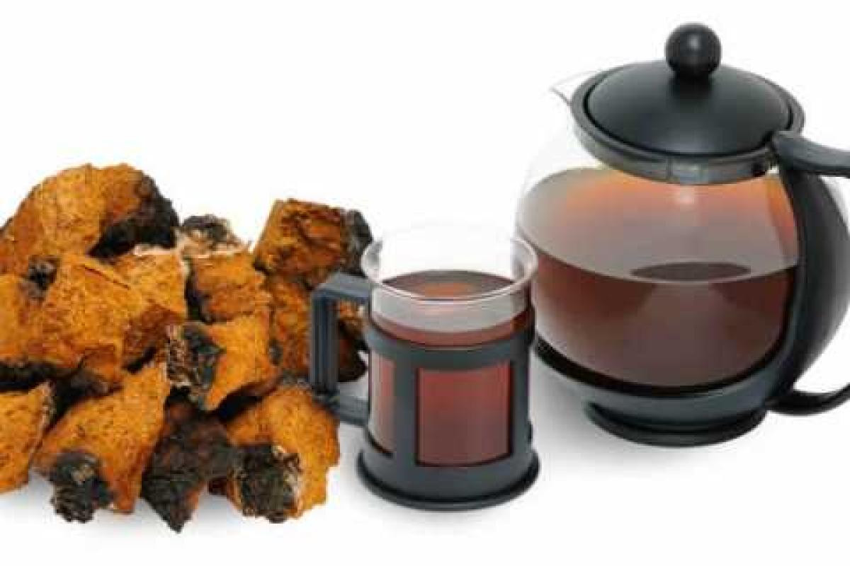 Лечебные свойства чаги: польза, рецепты