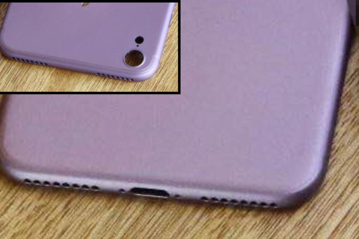 Корпус iPhone 7 украсят изображения исчезающих видов животных Корпус iPhone 7 украсят изображения исчезающих видов животных