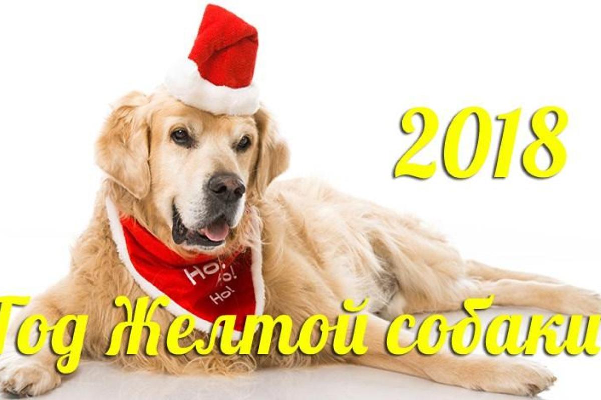 Гороскоп на 2018 год для всех знаков зодиака Гороскоп на 2018 год для всех знаков зодиака