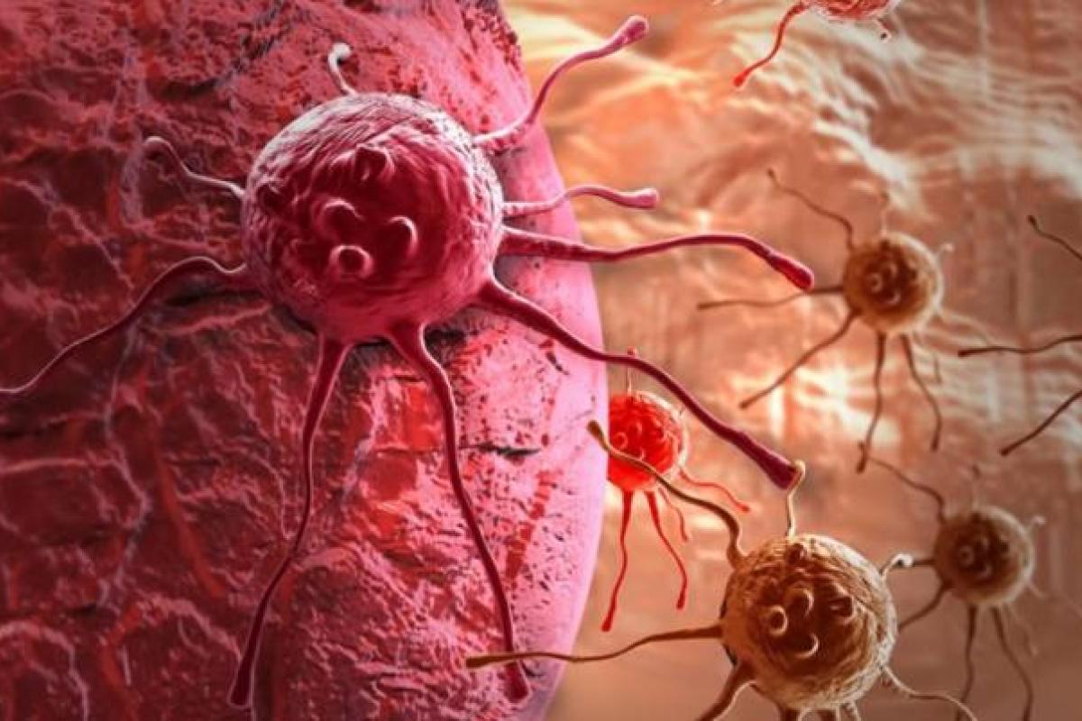 Опасный рак: ученые сделали шокирующее открытие Опасный рак: ученые сделали шокирующее открытие