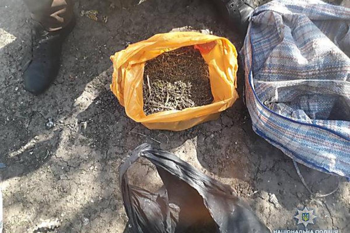 У жителя Николаевской области полиция изъяла марихуану на 100 тысяч гривен У жителя Николаевской области полиция изъяла марихуану на 100 тысяч гривен