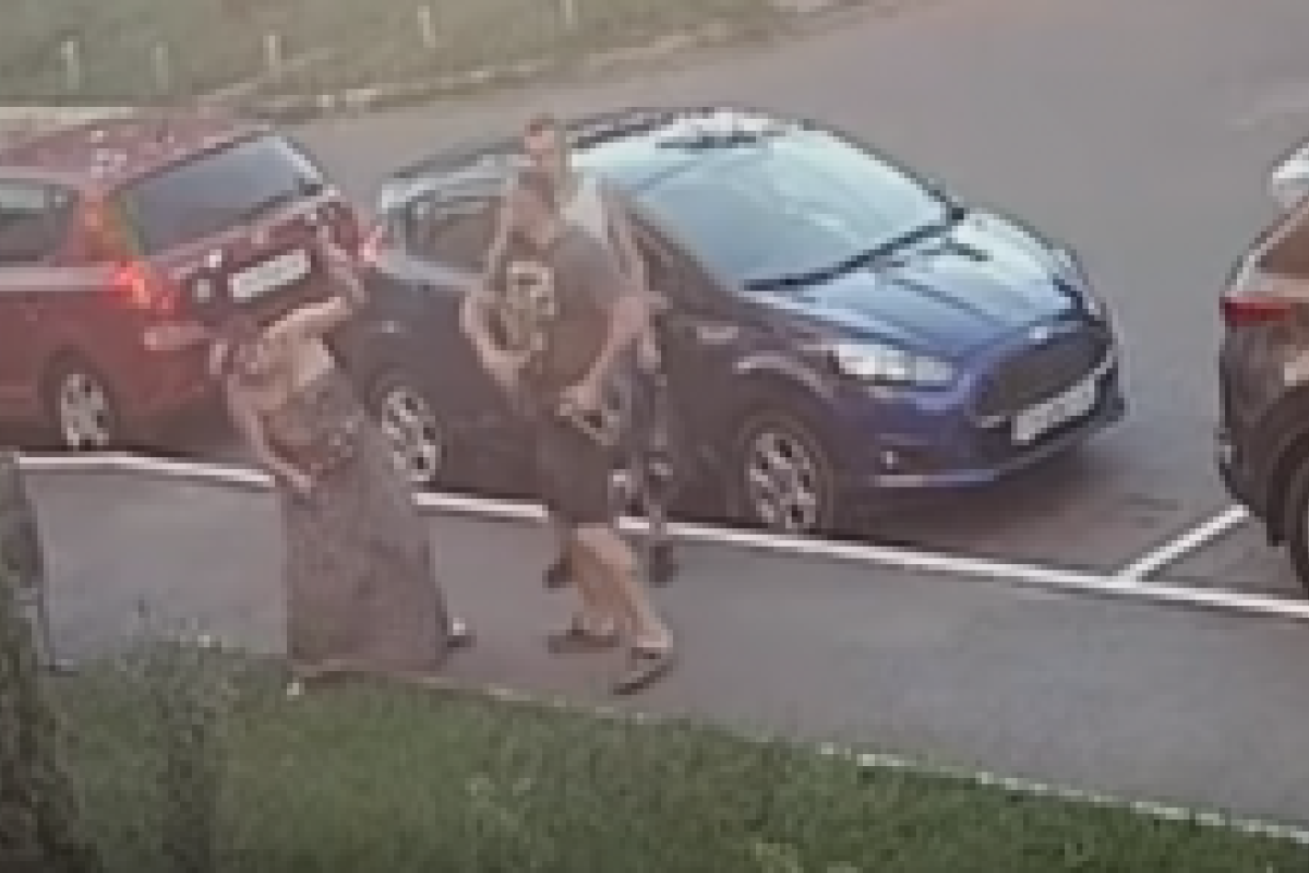 В Киеве депутат избил женщину за замечание взять собаку на поводок: видео В Киеве депутат избил женщину за замечание взять собаку на поводок: видео