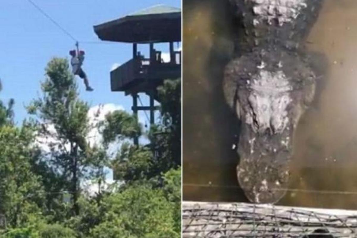 Опасные развлечения: в США отец с ребенком зависли над бассейном с аллигаторами Опасные развлечения: в США отец с ребенком зависли над бассейном с аллигаторами