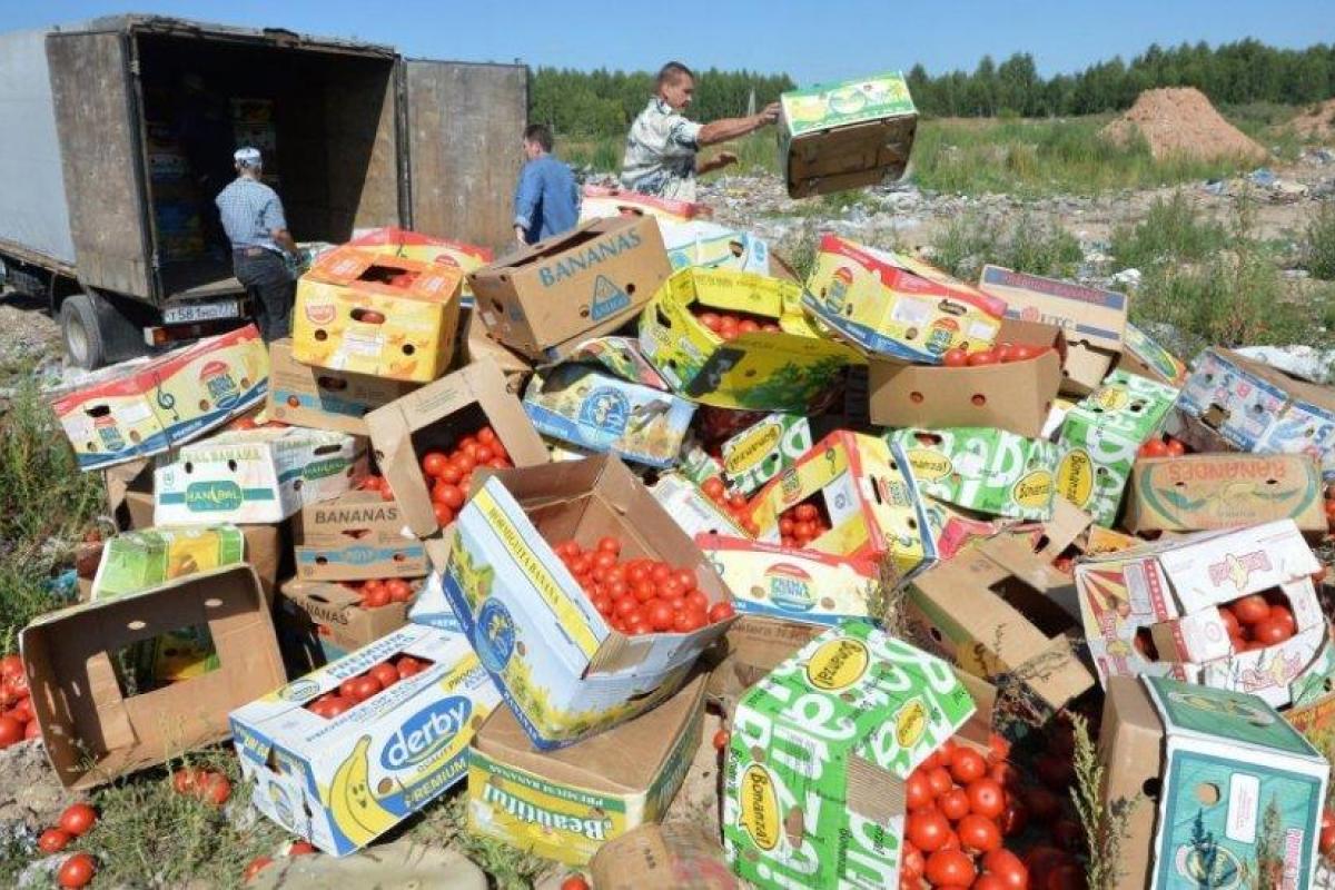 Путин продлил контрсанкции на год Путин продлил контрсанкции на год