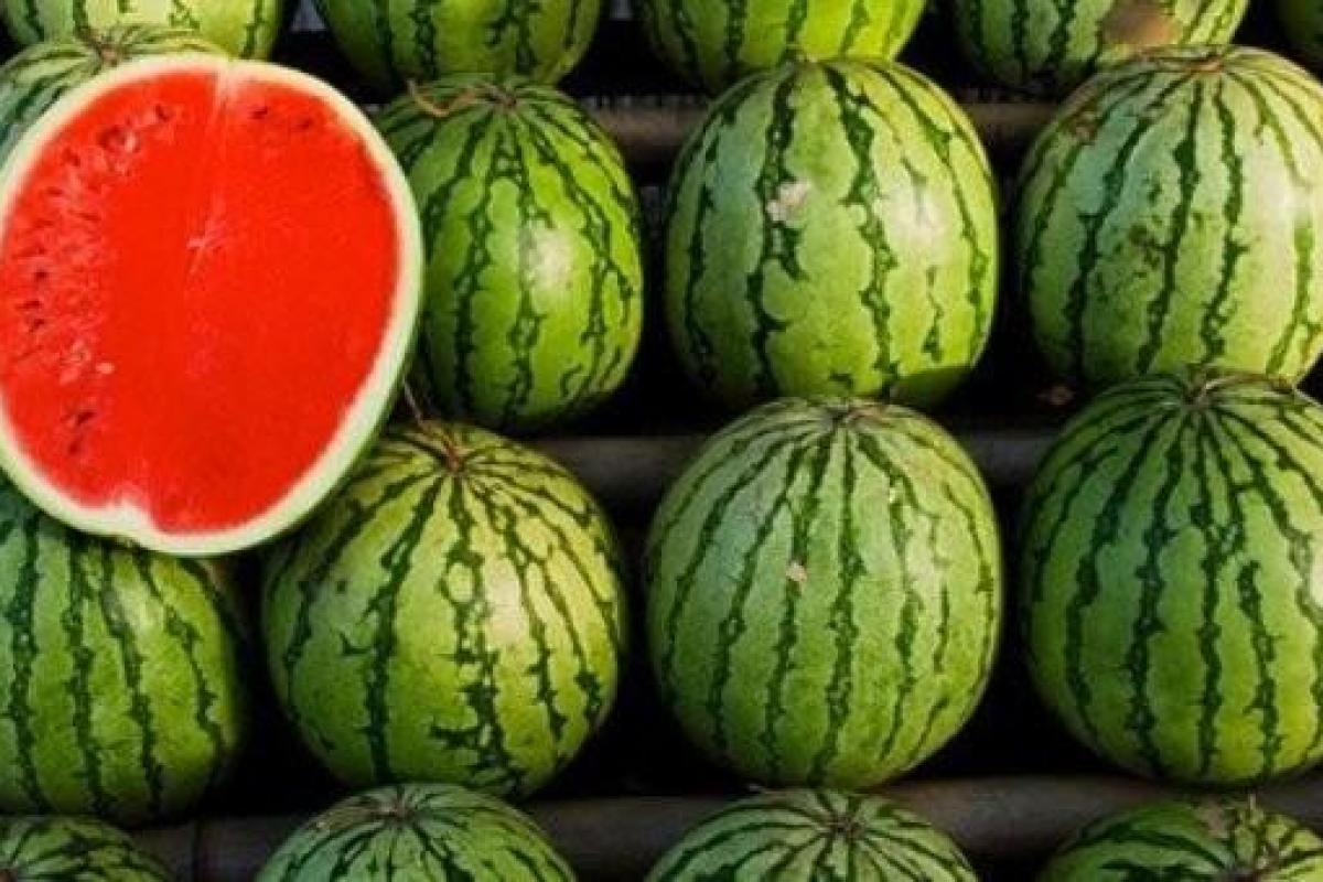 В Украине сезон бахчевых завершится на две недели раньше