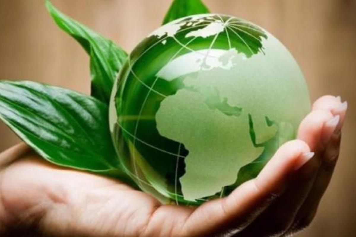 Депутаты предлагают повысить экологический налог Депутаты предлагают повысить экологический налог