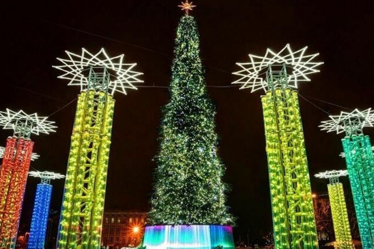 Основатель проекта Folk Ukraine рассказал, сколько весит главная елка страны