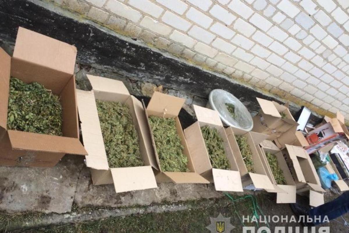 На Луганщине полиция ликвидировала канал поставки наркотиков в "ЛНР"