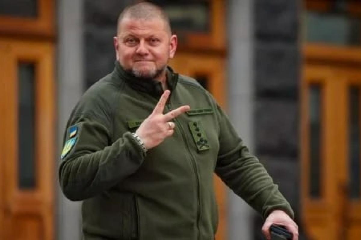"В честь освобождения Крыма": Залужному забронировали номер в отеле Ялты на 14 октября