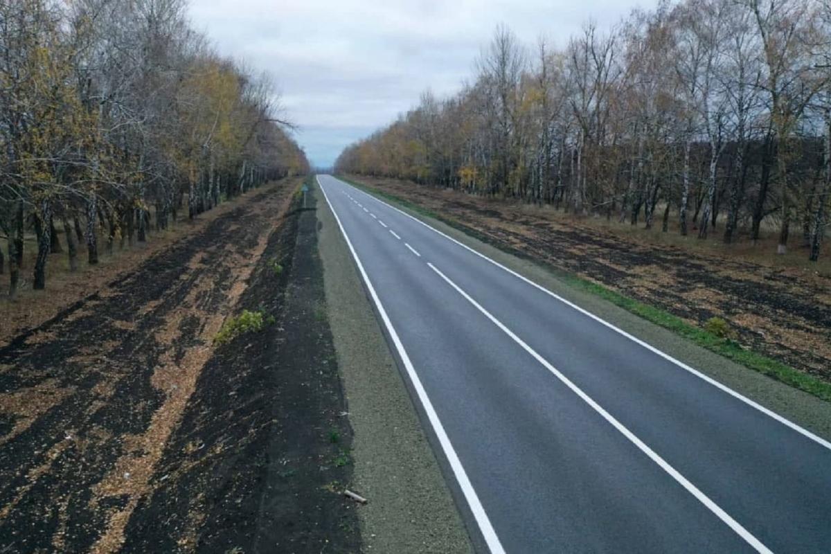 "Поля всі засіяні, дорога – ідеальна": Російська туристка здивувалася хорошими дорогами на Луганщині
